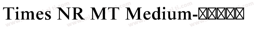 Times NR MT Medium字体转换